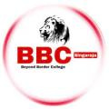 bbc collage